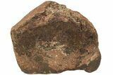 Chondrite Meteorite ( g) - Unclassified NWA #222362-1